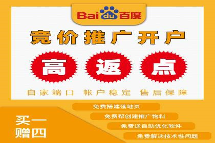 竞价排名案例：精准定位目标客户